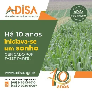 Criação de Mídias Sociais